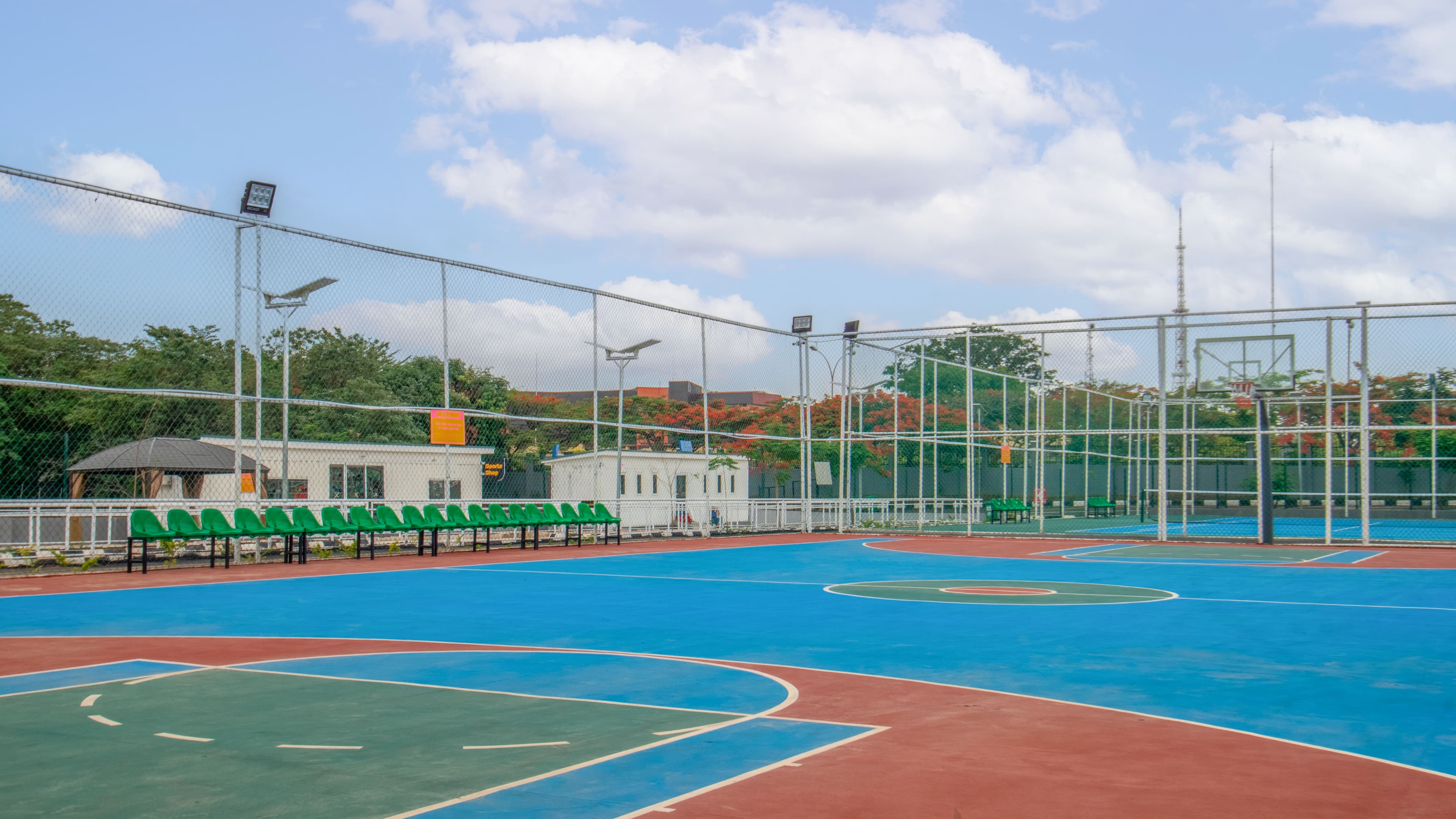 Basketball / Volleyball